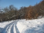 nedaleko hradu Buchlova 23.1.2010