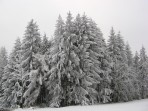 Pohádkový les Drozdovec