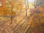 Krásne sfarbené lístie so súhrou tieňov, snímané vo veternom počasí dňa 29.10.2006