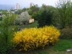 Jarní krajina v Ústí nad Labem.