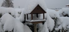 Na Moravě hustě sněží, je vydán extrémní stupeň