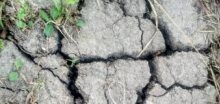 Vlivem sucha hrozí na celém území ČR nebezpečí požárů