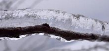 Česko zasáhne mrznoucí déšť, který bude vytvářet ledovku