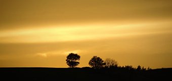 V září 2021 měla cirkulace mezi Amerikou a Evropou převážně smíšený charakter