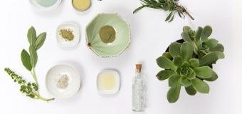 Zataženo, občas jackpot: Proč v deštivých dnech v Česku roste zájem o online kasina o 40 %?