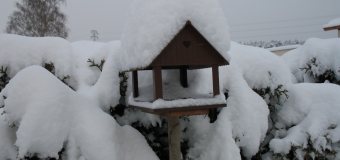 Alpské země se topí v záplavě sněhu