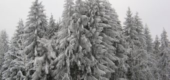 V Orlických horách připadlo pět centimetrů sněhu