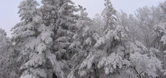 Na jižní Moravě hustě sněžilo; kraj vyzval řidiče,
