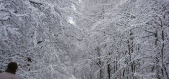 Na Českých horách sněží