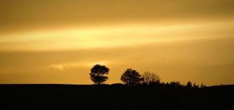 V Čechách dnes bylo až +15,4°C, padlo několik rekordů