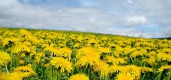 Na severu mráz, v Doksanech příjemněji než na Kanárech