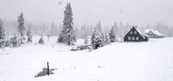 Krkonoše ráno hlásí až 30cm nového sněhu, sněžit bude dál