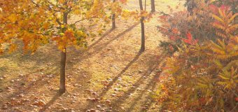 Jaký bude měsíc říjen