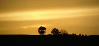 Letošní říjen bude patřit mezi nejteplejší od začátku měření