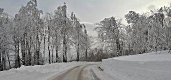 Počasí pod psa aneb jak nás šikovně ulehčit našim peněženkám