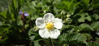 Ve čtvrtek se odpolední teploty mohou dostat až na 20°C